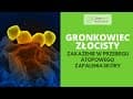 GRONKOWIEC ZŁOCISTY - zakażenie u osób z ATOPOWYM ZAPALENIEM SKÓRY. Jak się go pozbyć ? 