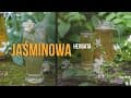 Herbata jaśminowa, herbata z jaśminem. Herbata pomaga zasypiać i jest afrodyzjakiem. Czajnikowy.pl