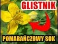 GLISTNIK NAJWAŻNIEJSZE INFORMACJE