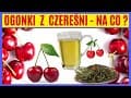 🍒 Ogonki z czereśni dla zdrowia/ Dna moczanowa / odchudzanie/ przemiana materii/ na uklad krążenia 🍒