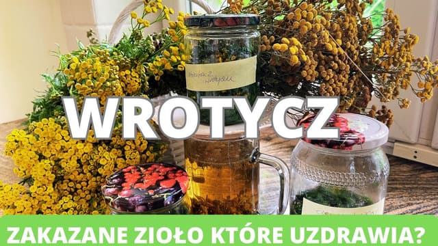 Wrotycz- zakazane zioło które uzdrawia. Od łuszczycy przez reumatyzm do nużeńca, świerzba i grypy