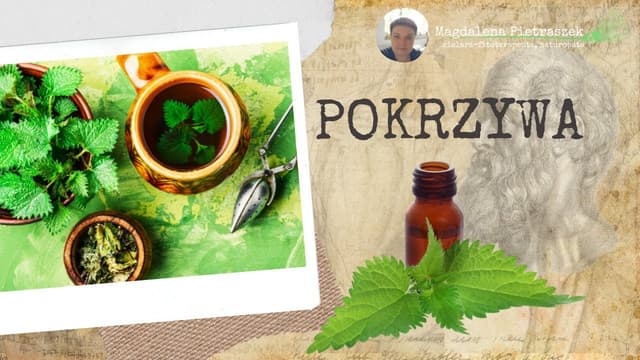 Pokrzywa: Chwast czy zioło cud? Odkryj jej fantastyczną moc!