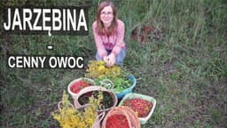 Jarzębina - cenny owoc odżywczo - oczyszczający