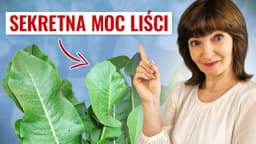 Lecznicze liście CHRZANU. Liść, napar, macerat, proszek. Kiedy i jak stosować?