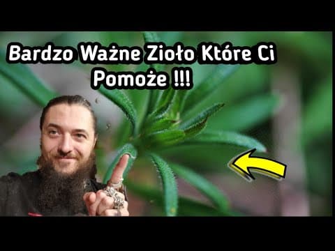 1572. Niesamowicie Ważne Zioło !!! Przytulia