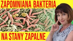 🍀BAKTERIA NARINE. Probiotyki na żołądek, jelita, stany zapalne, odporność.