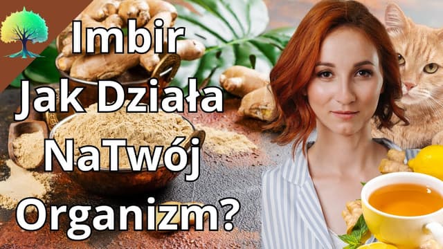 Jak imbir wpłynie na Twój organizm? 🫖 Jak Przygotować Imbir na Przeziębienie, Kaszel i Mdłości?