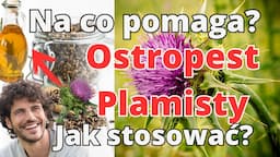 Ostropest Plamisty, co zrobi z Twoją wątrobą? ! Jak Stosować i Na Co Pomaga?