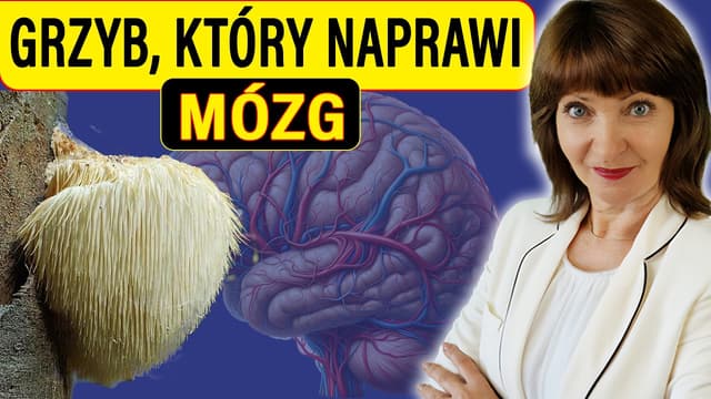 Grzyb, który naprawia MÓZG - Fenomen soplówki jeżowatej